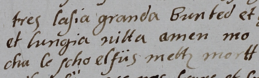 handschriftlicher Text auf Romanisch in romanischer Schrift